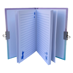 SET 2 DIARI SEGRETI CON LUCCHETTO FROZEN DISNEY ELSA ANNA + 2 PENNE IN CONFEZIONE REGALO - FR0754