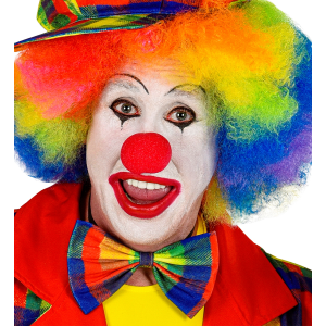 FARFALLINO PAGLIACCIO PAPILLON CLOWN ACCESSORI PER ABITO VESTITO TRAVESTIMENTO CARNEVALE - 48639