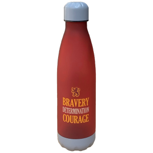 BOTTIGLIA HARRY POTTER GRIFONDORO BORRACCIA IN PLASTICA BPA FREE 650 ML - HPRJV630