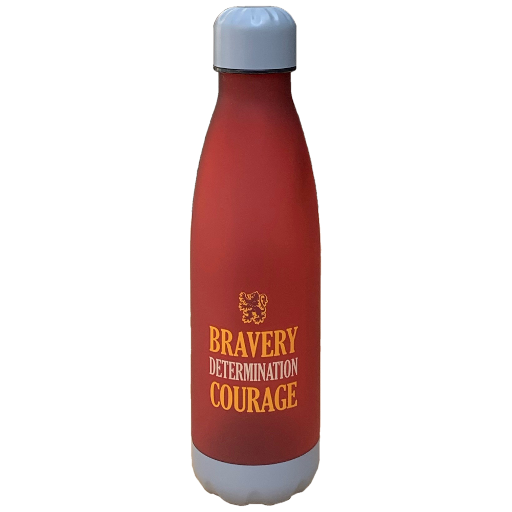 BOTTIGLIA HARRY POTTER GRIFONDORO BORRACCIA IN PLASTICA BPA FREE 650 ML - HPRJV630