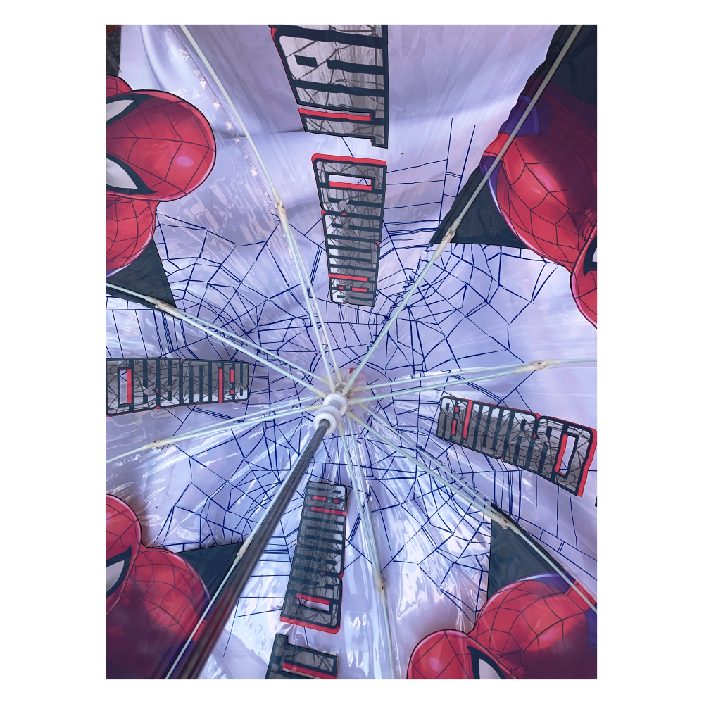 OMBRELLO CAMPANA TRASPARENTE SPIDERMAN MARVEL BAMBINO - SP50024