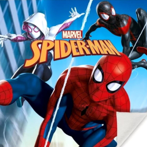 SET TOVAGLIETTE 2 PEZZI SPIDERMAN MARVEL ASCIUGAMANO MAGICHE IN TESSUTO CM. 30X30 - MV15744