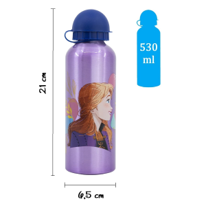 BORRACCIA IN ALLUMINIO FROZEN DISNEY CON BECCUCCIO E COPERCHIO 530 ML - 74260
