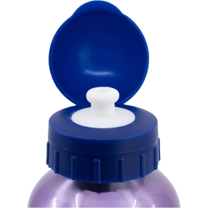 BORRACCIA IN ALLUMINIO FROZEN DISNEY CON BECCUCCIO E COPERCHIO 530 ML - 74260