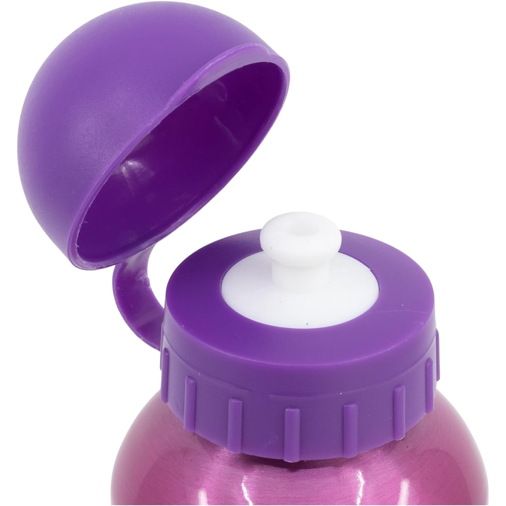 BORRACCIA IN ALLUMINIO PRINCIPESSE DISNEY CON BECCUCCIO E COPERCHIO 530 ML - 51260
