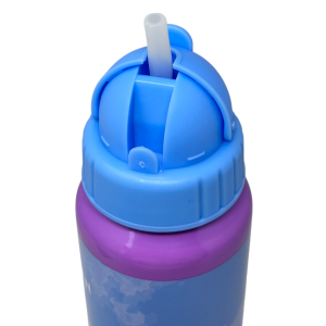 BORRACCIA IN ALLUMINIO CON CANNUCCIA FROZEN DISNEY BOTTIGLIA PER BAMBINI 550 ML - D09504MC/C