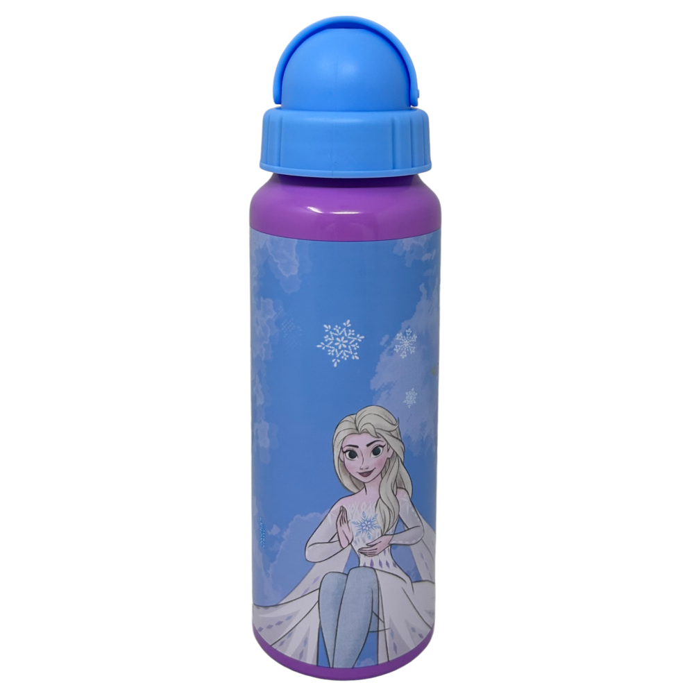 BORRACCIA IN ALLUMINIO CON CANNUCCIA FROZEN DISNEY BOTTIGLIA PER BAMBINI 550 ML - D09504MC/C