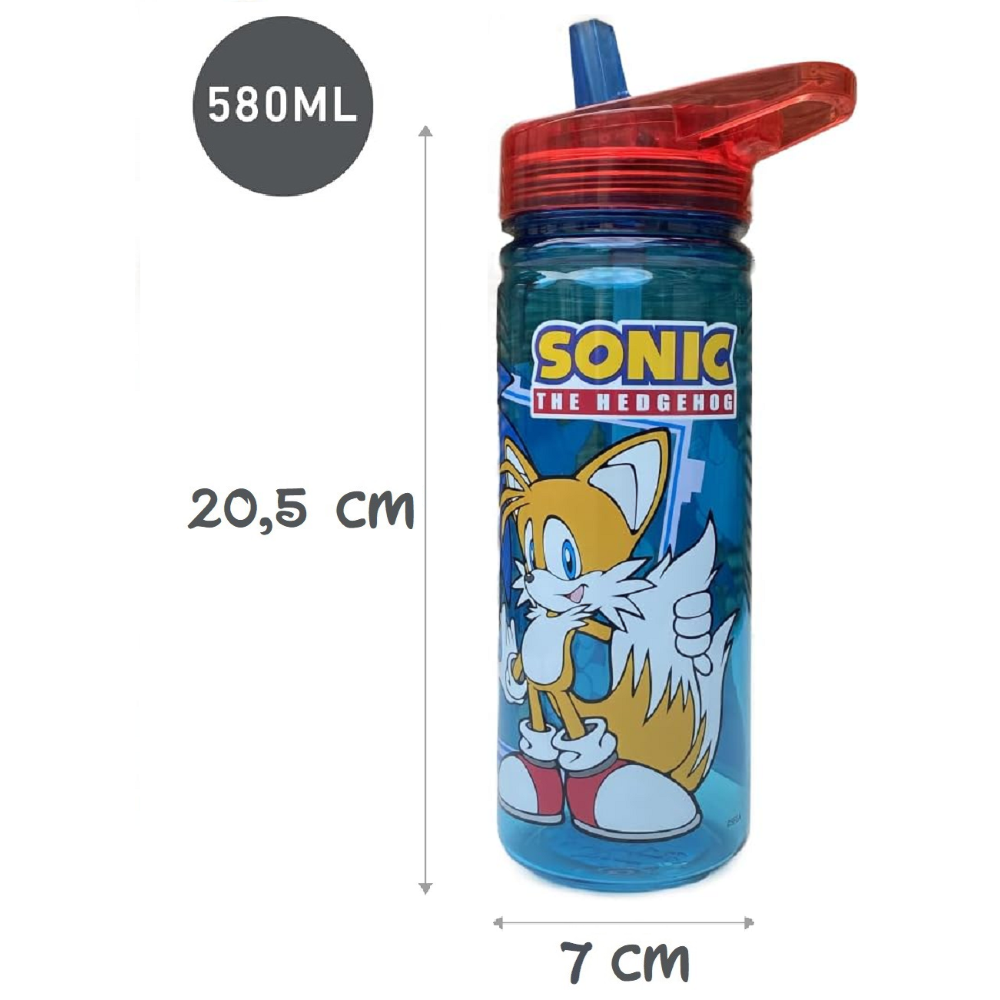 BORRACCIA ECOZEN SONIC THE HEDGEHOG IN TRITAN BOTTIGLIA CON BECCUCCIO RIPIEGABILE 580 ML -79022