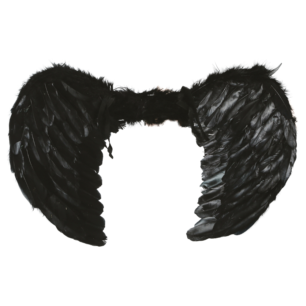 ALI PIUMATE NERE 60 X 40 CM ACCESSORI TRAVESTIMENTO COSTUME CARNEVALE HALLOWEEN - 16266