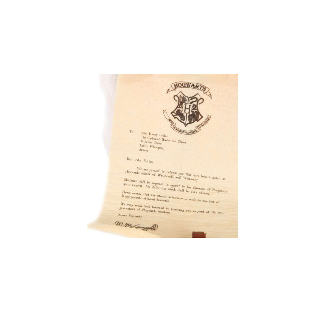PELUCHE CIVETTA EDVIGE CON LETTERA HARRY POTTER MORBIDO PUPAZZO 18 CM - 760022831