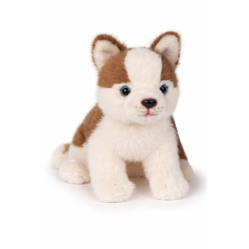 PELUCHE HUSKY CM 25 PUPAZZO PER BAMBINI LELLY - 642308