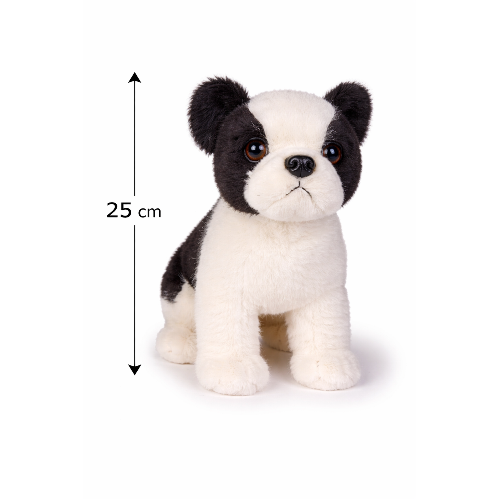 PELUCHE BOSTON TERRIER CM 25 PUPAZZO PER BAMBINI LELLY - 642308