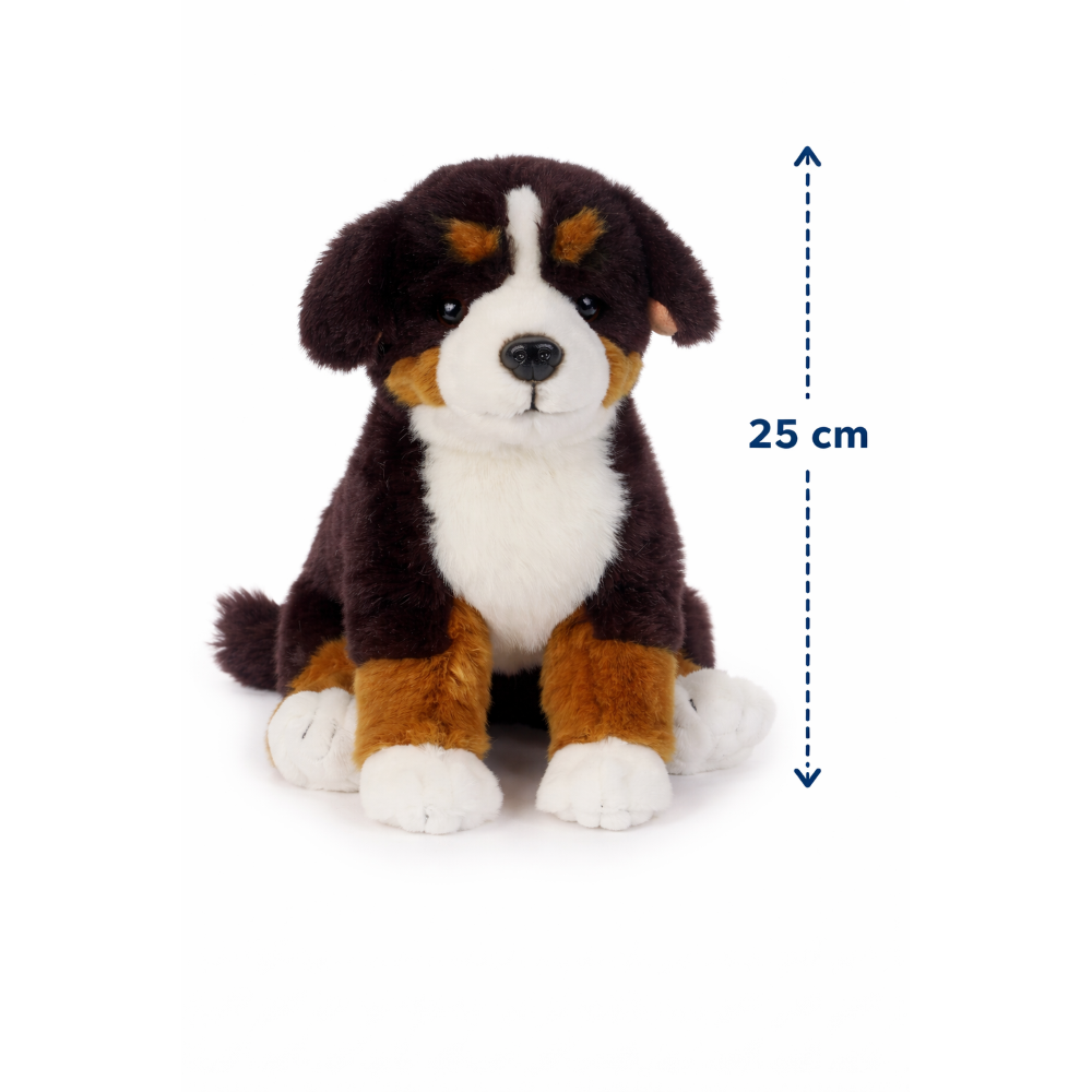 PELUCHE CANE BERNESE CM 25 PUPAZZO CUCCIOLO PER BAMBINI LELLY - 642309