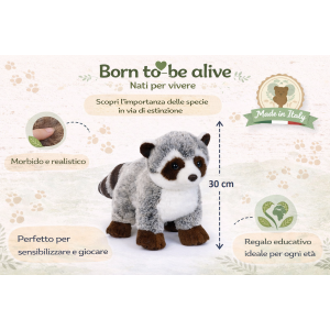 PELUCHE PROCIONE CM 30 PUPAZZO PER BAMBINI LELLY - 650005
