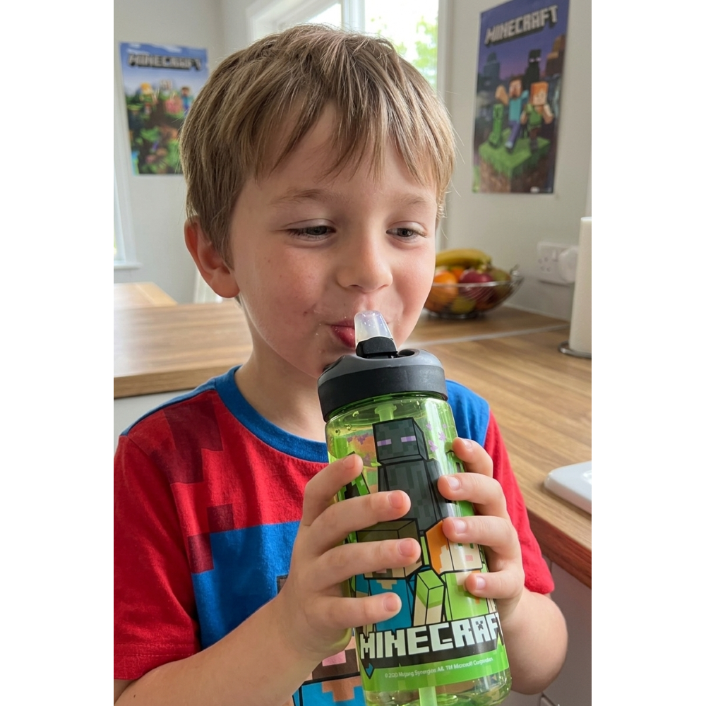 BORRACCIA TRITAN MINECRAFT BOTTIGLIA 620 ML CON APERTURA POP-UP - 86699